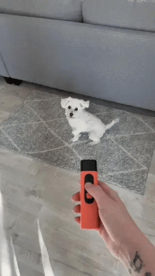 Anti Barking Device